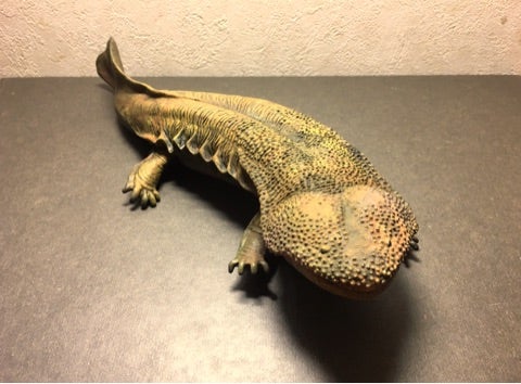 ハンザキさん | 日本物怪観光のブログ