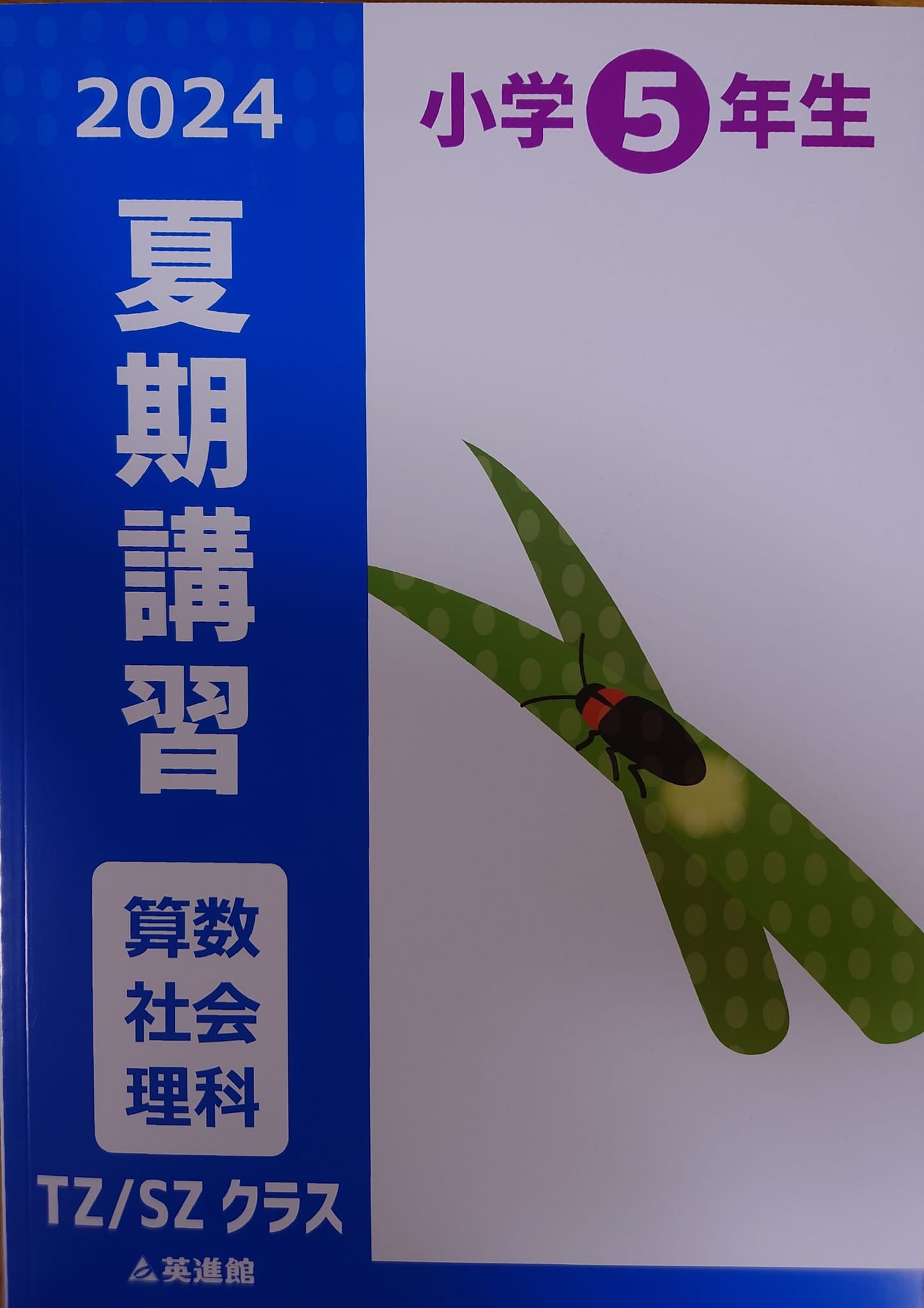 夏期講習（小5）テキスト内容について | 中学受験予定（小6生）の父親です