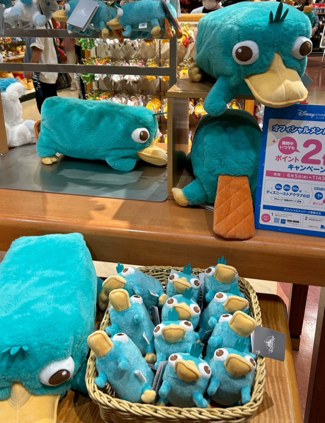 ディズニーストア】人気が爆発しちゃってるぅ | はまこのディズニー