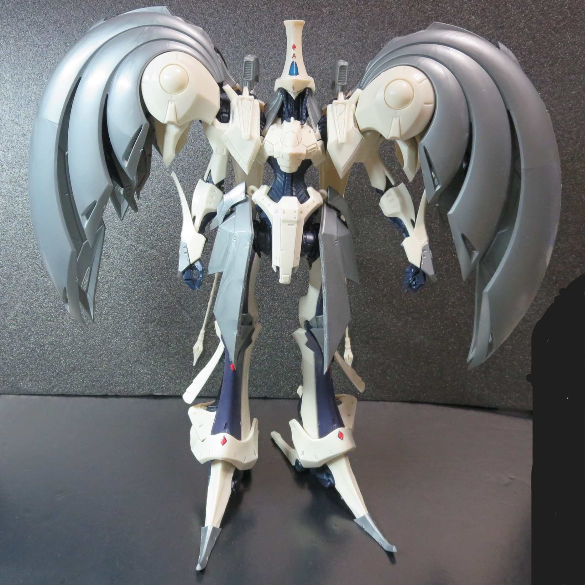 FSS VOLKS 1/100 AUGE ARSCULS 妻に渡しました | T-OZ ZONE by