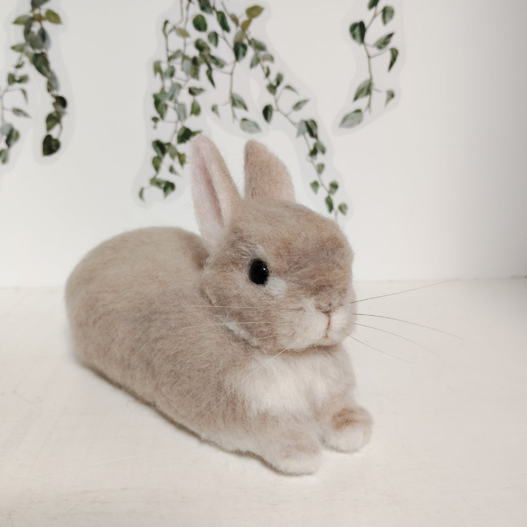 オーダー作品が完成しました＼(^o^)／ご長寿もかちゃんです♪ | 「こ