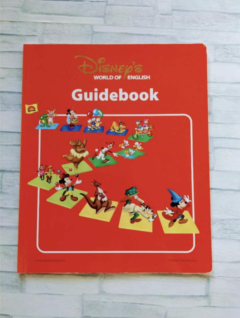 DWE】公式ガイドブックに沿った1からの進め方。DWE成功ユーザーの