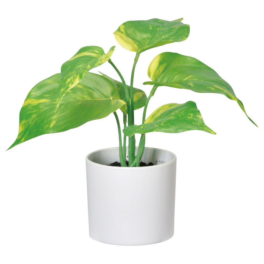 人工観葉植物】アスカ/ポトス(ポット付) クリームグリーン/A-51086-53A