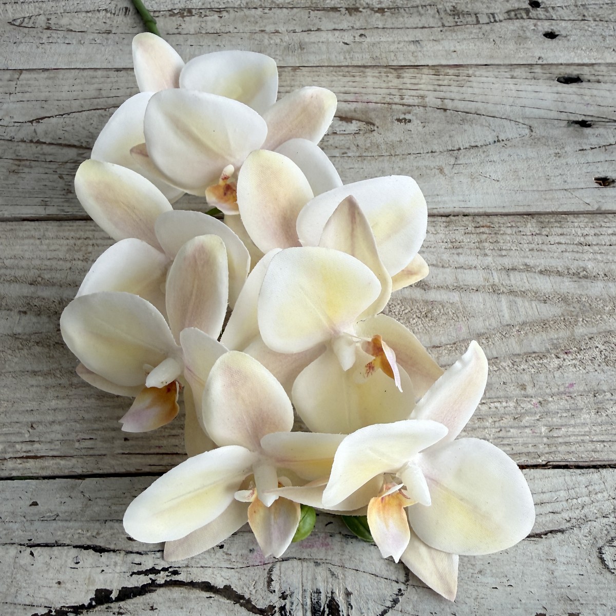 即日☆【造花】アスカ/コチョウラン×8 つぼみ×2 ピンクイエロー/A