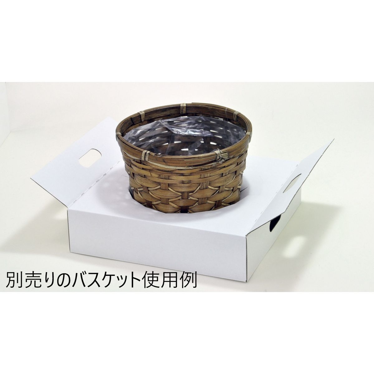 特価◎松村工芸/Dボックス S 21XH58CM/162-1034-0 - 花材通販はなどん