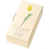 HEADS/チューリップギフトボックス/S-1(20枚)/TLP-GS1 - 花材通販は