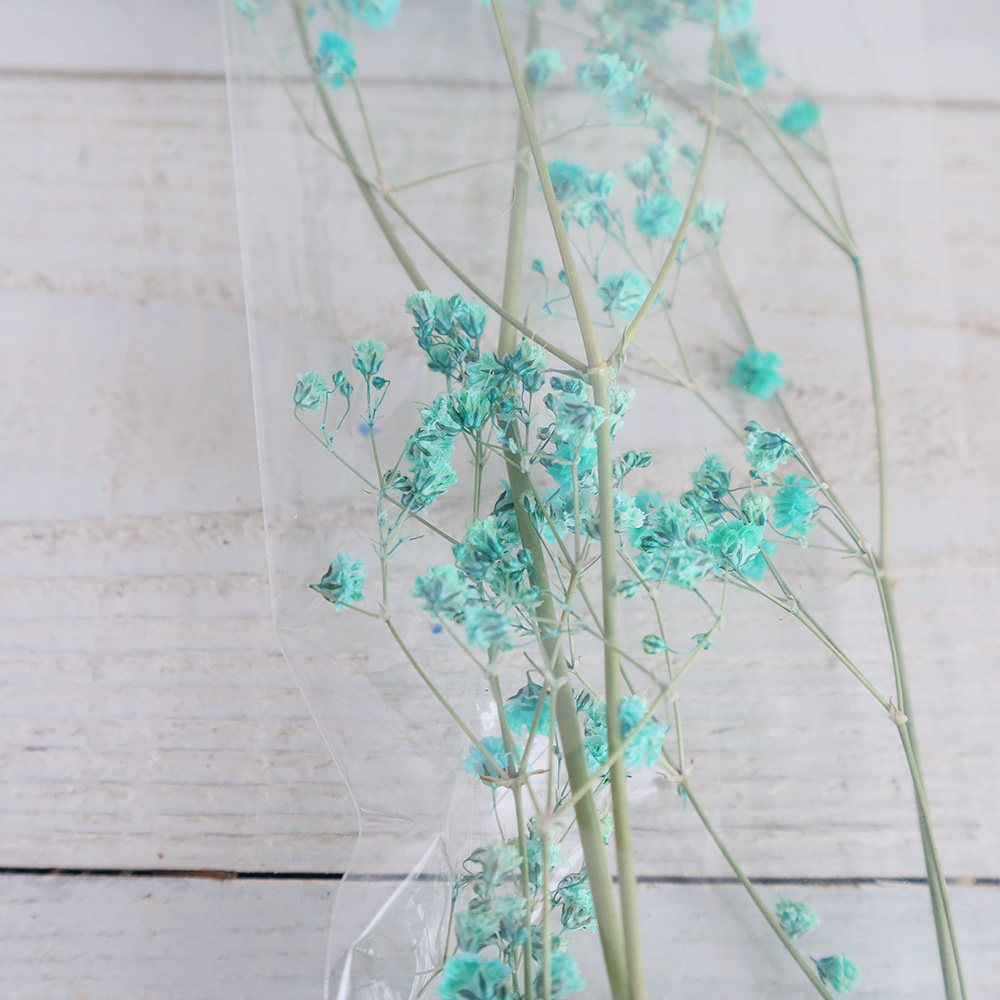 即日☆【ドライ】J・flow/染めカスミ草 空(水色) - 花材通販はなどんや