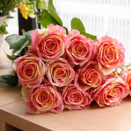 生花】バラ フィスタ(ピンク複色絞り) - 花材通販はなどんやアソシエ