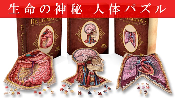 人体はアートだ！3つ並べて1つの作品に！知的好奇心が刺激される