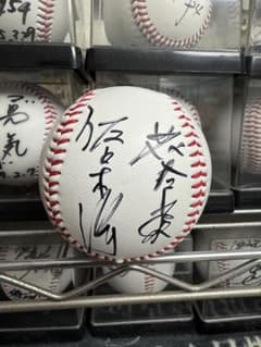 m44867629663_1.jpg?1765640785