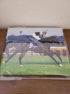 競馬 希少JRA 武豊騎手 ディープインパクト 非売品 当選 レアパネル