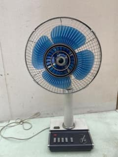 m45969205876_1.jpg?1729051576