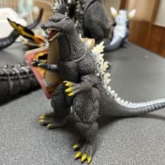 m45975362055_1.jpg?1712193104