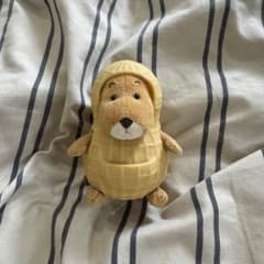 バムとケロ ぬいぐるみ らくちゃん Sサイズ - メルカリ