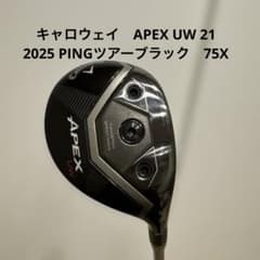 キャロウェイ APEX UW 21 2025 PINGツアーブラック 75X - メルカリ