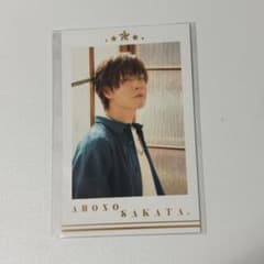 あほの坂田 さかワン HERO チェキ風カード となりの坂田 - メルカリ