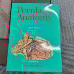 m49083701336_1.jpg?1738478695