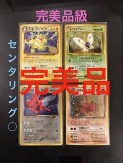 旧裏 完美品 わるいデンリュウ わるいハッサム バタフライ わるい