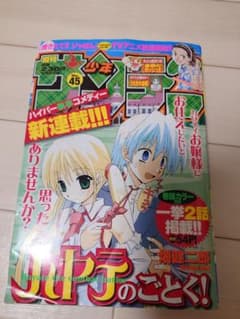 m49241182726_1.jpg?1756423727