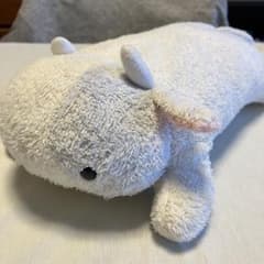 m49749861823_1.jpg?1765586847