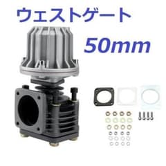 m49987286733_1.jpg?1718885289