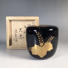 m40659984893_1.jpg?1712025839