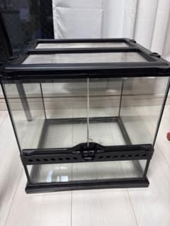 exo terra グラステラリウム 3030 - メルカリ