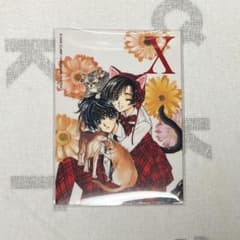 m41502739290_1.jpg?1733834520