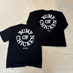 m41793891974_1.jpg?1749943102