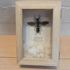 m41871335729_1.jpg?1755304643