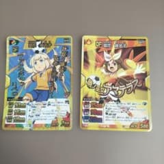 イナズマイレブンGO【菜花黄名子】2種カードセット - メルカリ