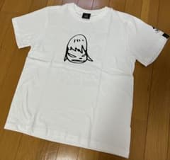 m42438644915_1.jpg?1748303691