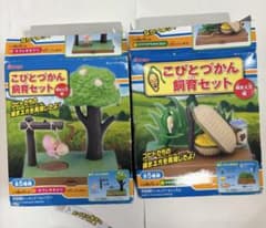こびとづかん 飼育セット 新品 捕まえ方編 カクレモモジリ クサマダラ