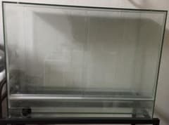 Rain Forest PCP6045 パルダリウムケージ 引取り限定専用 - メルカリ