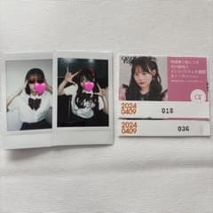 m43072012592_1.jpg?1749938942