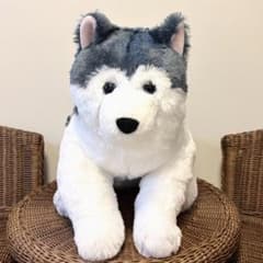 シベリアンハスキー 特大 BIG ぬいぐるみ - メルカリ