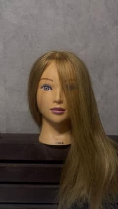 卵焼きさん専用◎NBAA ヘアアレンジ アップウィッグ ブロンド - メルカリ