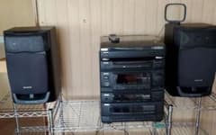 m54666932716_1.jpg?1717032411