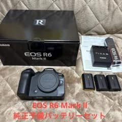 Canon EOS R6 Mark Ⅱ 純正予備バッテリーセット - メルカリ