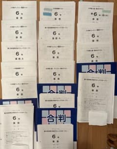 SAPIX 6年 1年分 ほぼフルセット(組分け・マンスリー・SO)16回分原本
