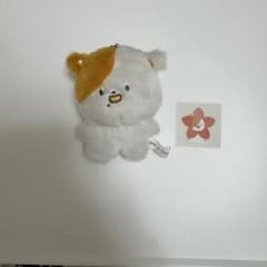 NCT NCTDREAM チソン ぬいぐるみ 10cm ポケチ - メルカリ