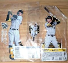 m57472123577_1.jpg?1749379552