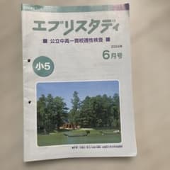 Z会 公立中高一貫適性検査 エブリスタディ 2024年 小5 - メルカリ