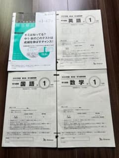 m58936254129_1.jpg?1714531406