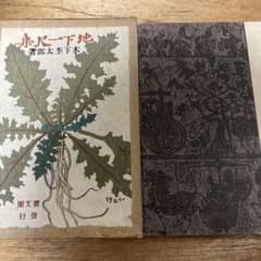木下杢太郎「地下一尺集」初版 難あり 大正10年 古書 古本 - メルカリ