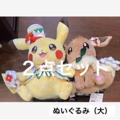ぬいぐるみ大 イーブイ ピカチュウ ポケパーク カントー 限定 ポケモン