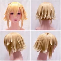 卯月コウ ウィッグ コスプレ にじさんじ - メルカリ