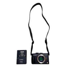 Panasonic LUMIX GX1 ボディ ストラップ 充電器 バッテリー - メルカリ