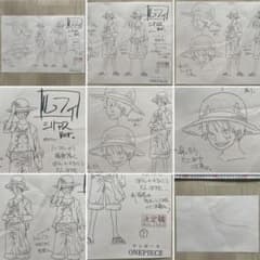 決定稿 1枚 設定資料 モンキー・D・ルフィ シリアス バージョン ver