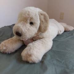 吉徳 YOSHITOKU ゴールデンレトリバー 特大 レア ぬいぐるみ - メルカリ